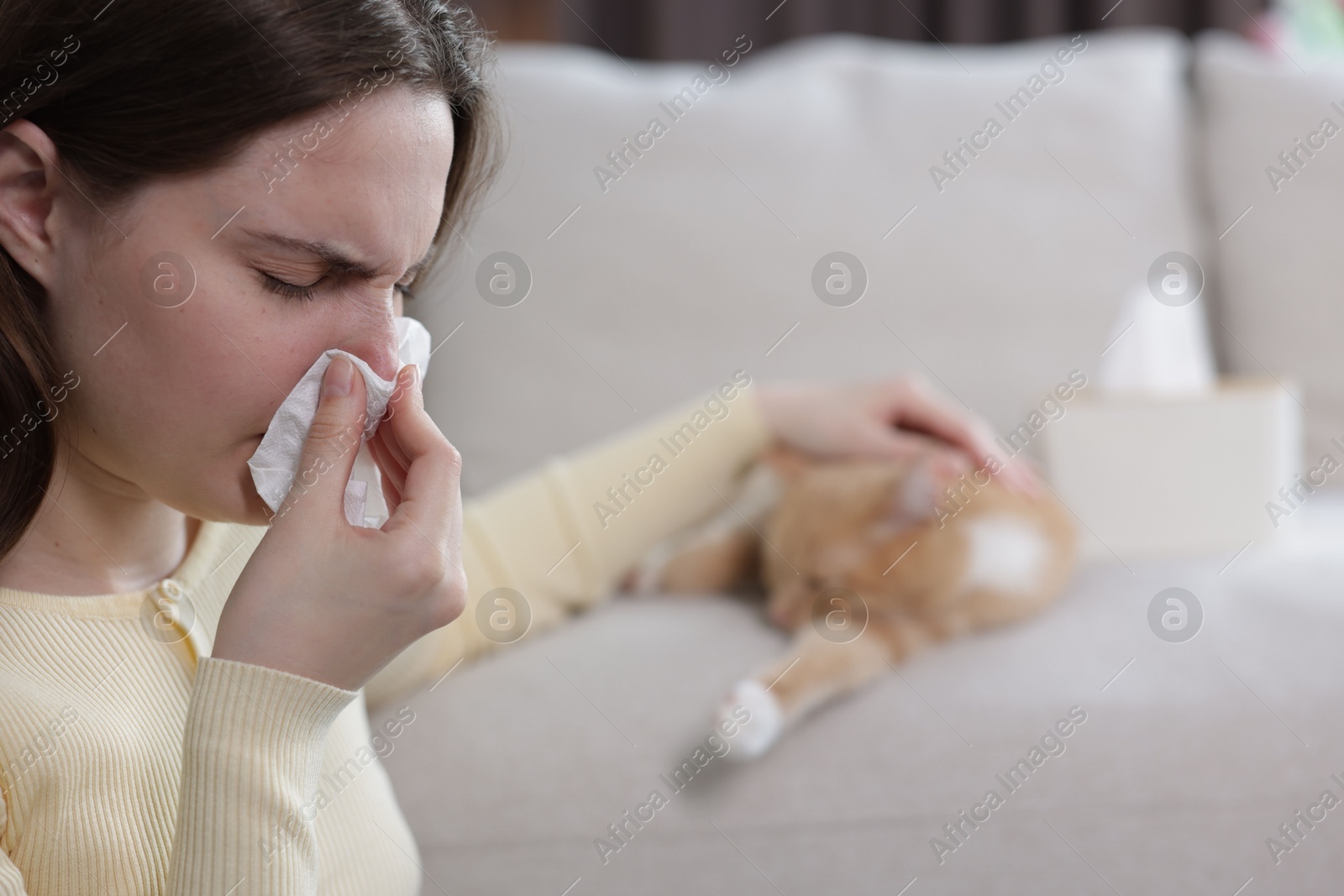 Woman suffering from allergy with her cat at home, selective focus Photo of Woman suffering from allergy with her cat at home, selective focus
