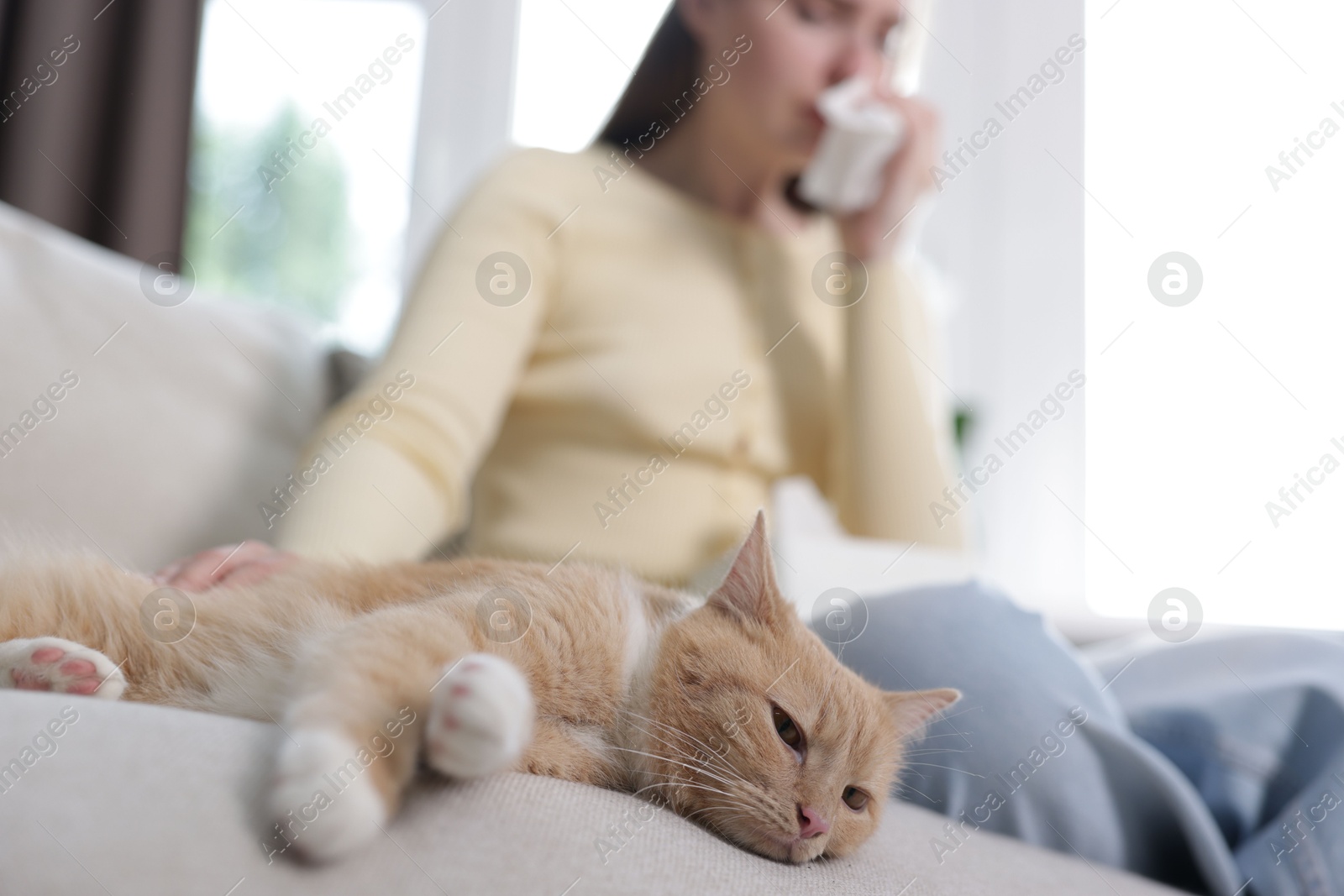 Woman suffering from allergy with her cat on sofa at home, selective focus Photo of Woman suffering from allergy with her cat on sofa at home, selective focus