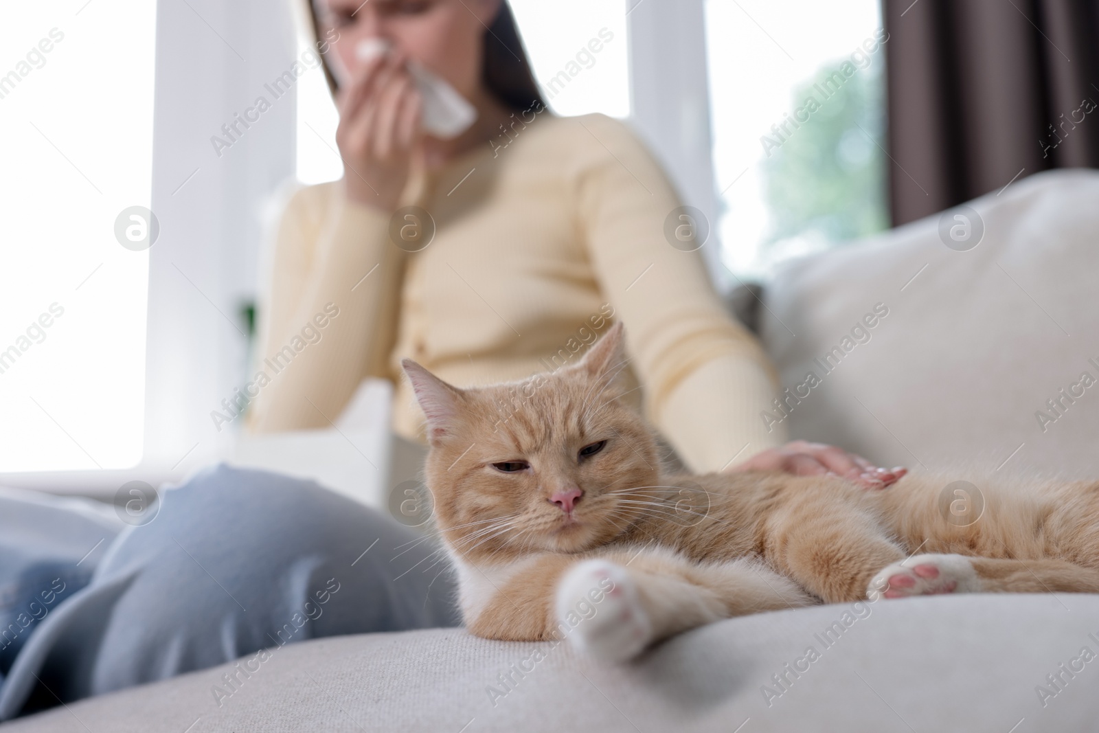 Woman suffering from allergy with her cat on sofa at home, selective focus Photo of Woman suffering from allergy with her cat on sofa at home, selective focus