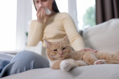 Photo of Woman suffering from allergy with her cat on sofa at home, selective focus