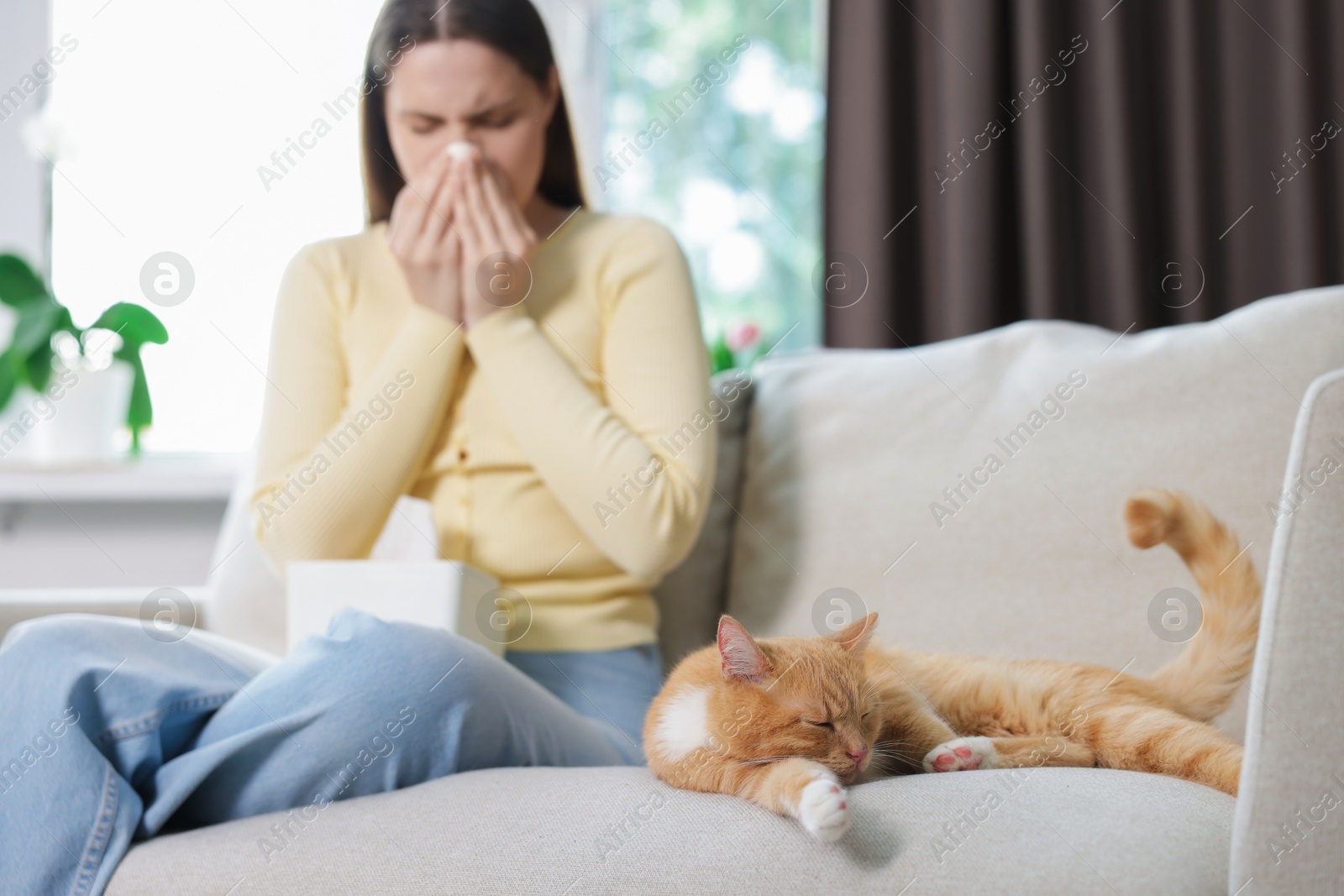 Woman suffering from allergy with her cat on sofa at home, selective focus Photo of Woman suffering from allergy with her cat on sofa at home, selective focus