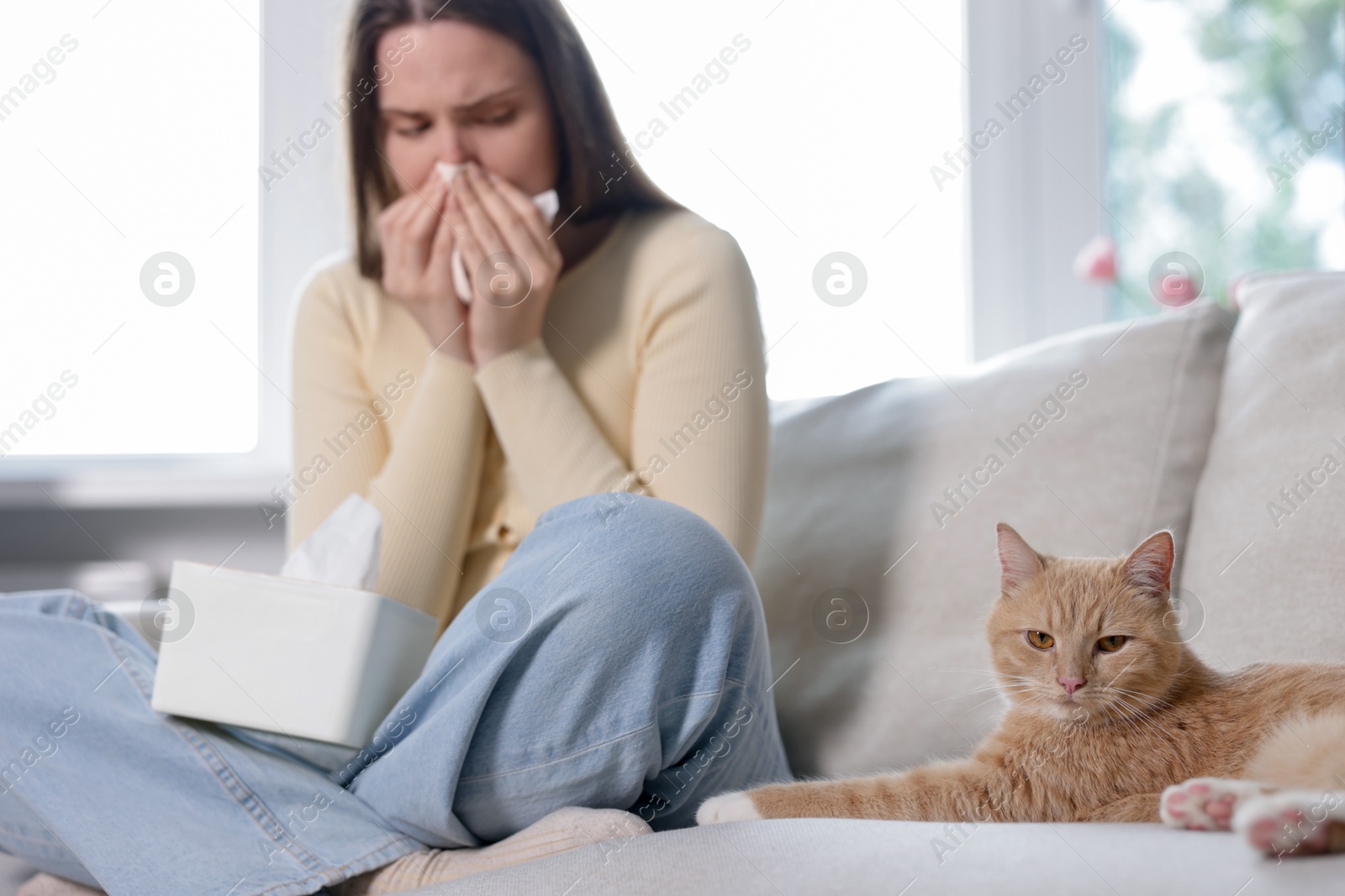 Woman suffering from allergy with her cat on sofa at home, selective focus Photo of Woman suffering from allergy with her cat on sofa at home, selective focus