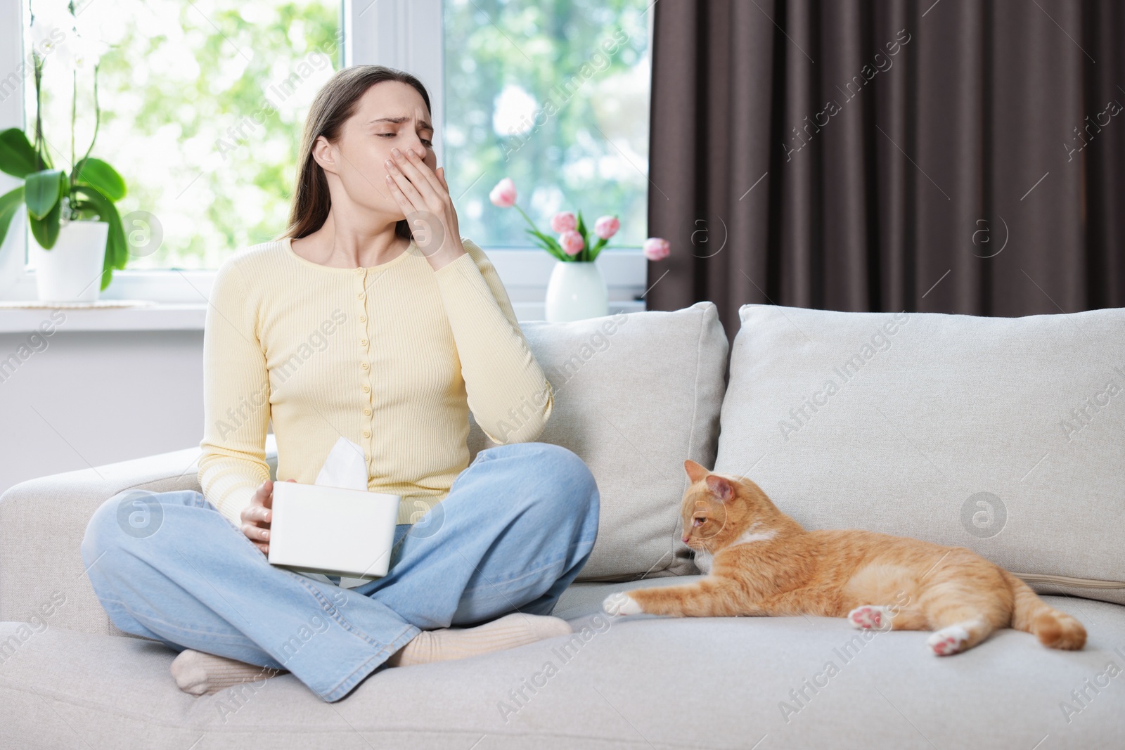 Woman suffering from allergy with her cat on sofa at home Photo of Woman suffering from allergy with her cat on sofa at home