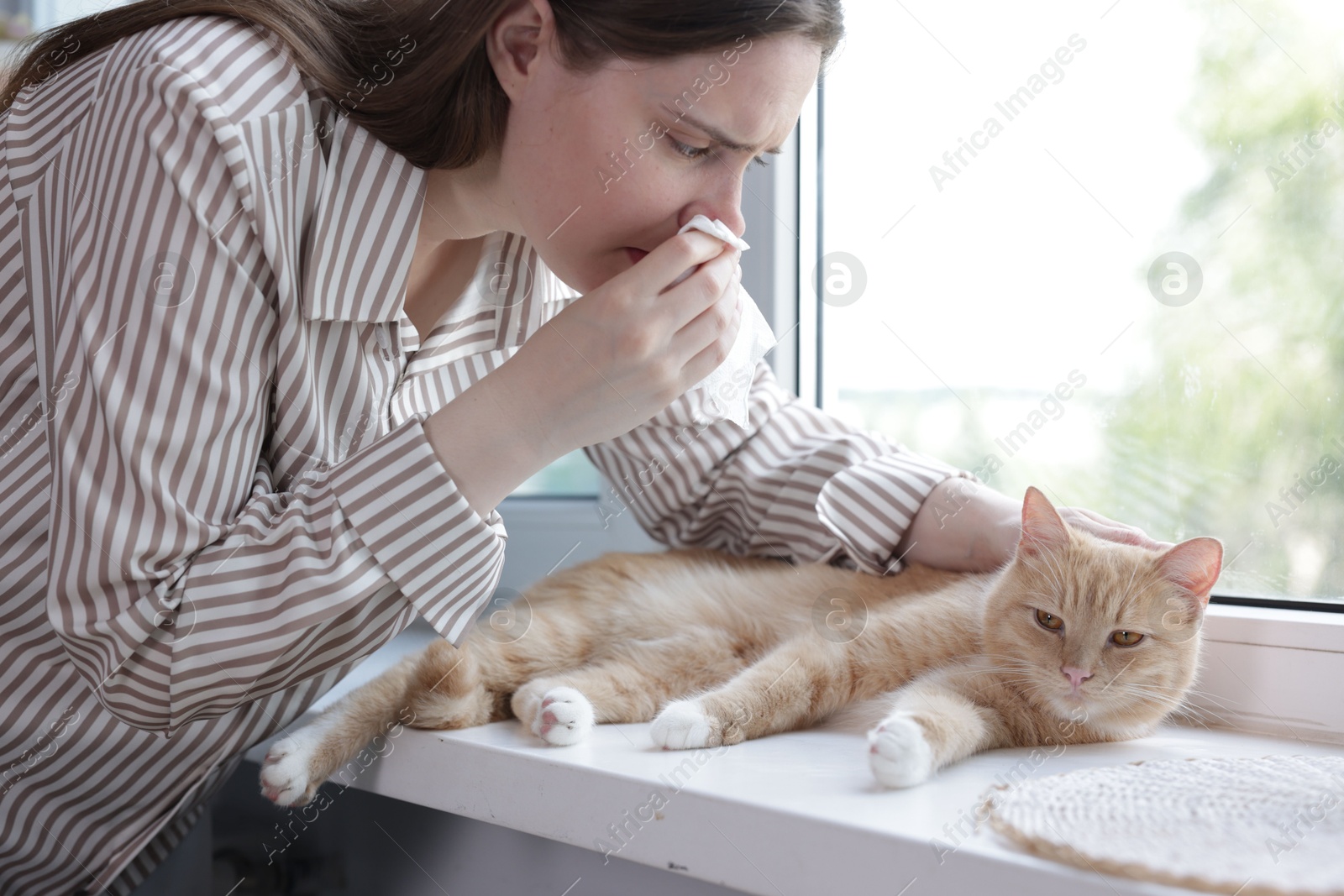 Woman suffering from allergy with her cat near window at home Photo of Woman suffering from allergy with her cat near window at home