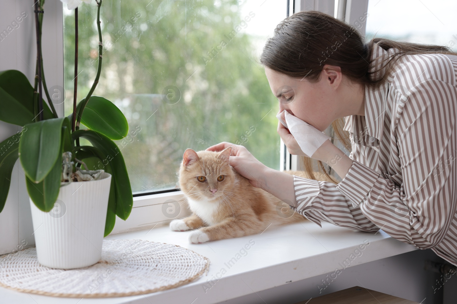 Woman suffering from allergy with her cat near window at home Photo of Woman suffering from allergy with her cat near window at home