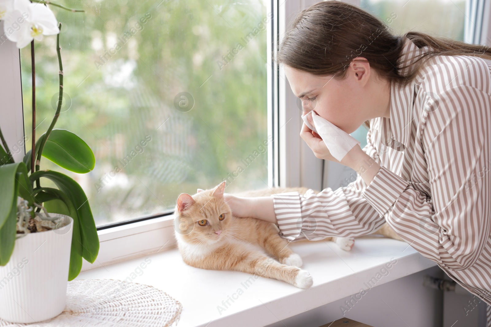Woman suffering from allergy with her cat near window at home Photo of Woman suffering from allergy with her cat near window at home
