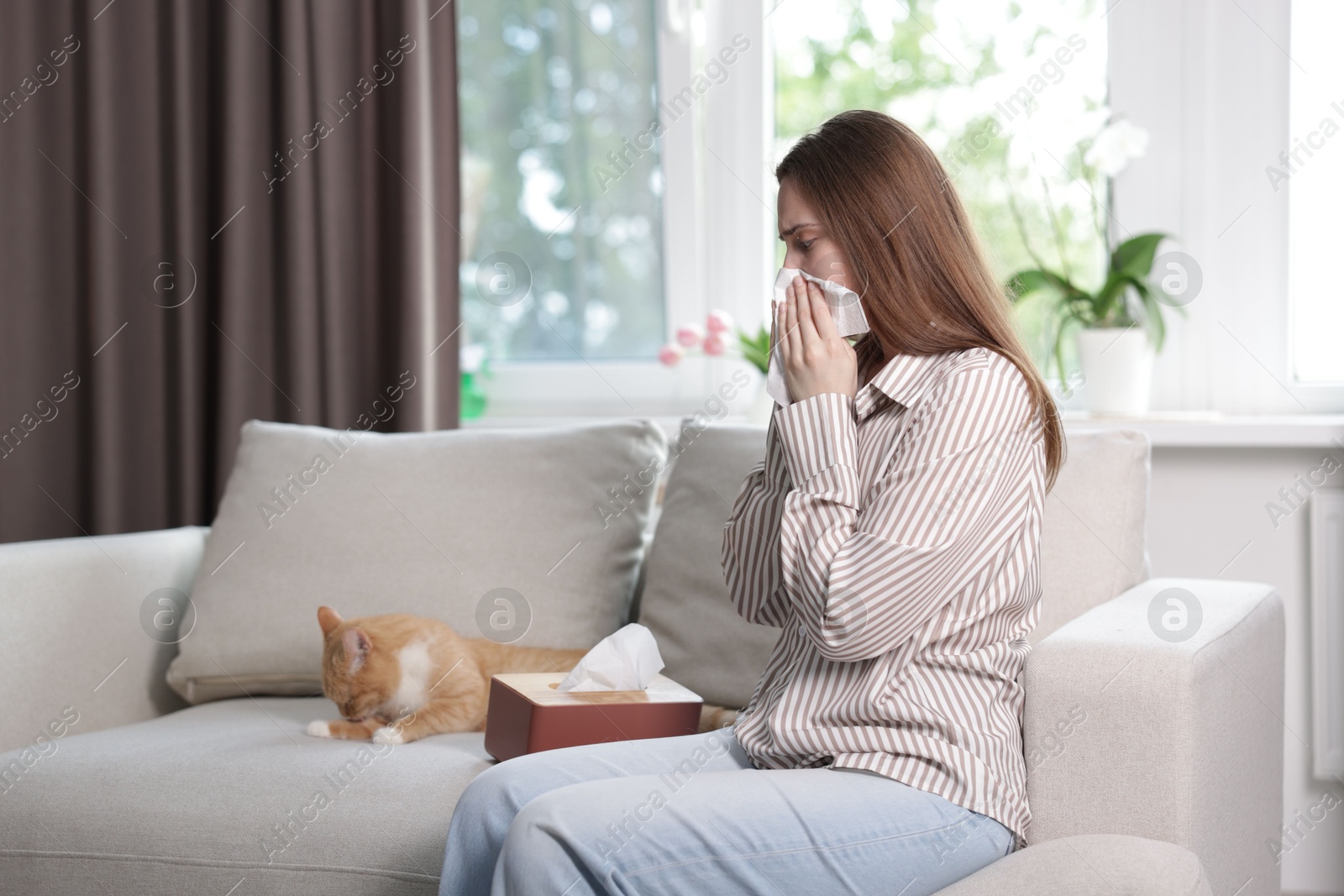 Woman suffering from allergy with her cat on sofa at home Photo of Woman suffering from allergy with her cat on sofa at home