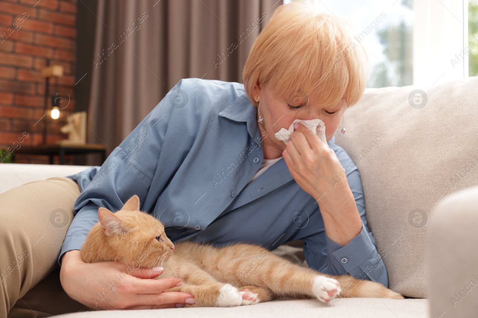 Senior woman suffering from allergy with her cat on sofa at home Photo of Senior woman suffering from allergy with her cat on sofa at home