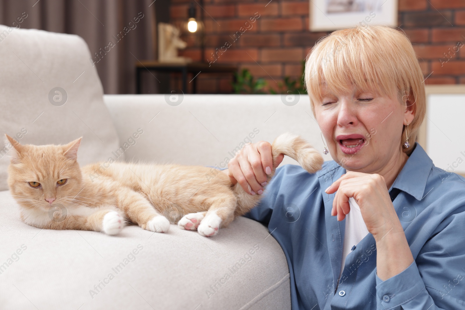 Senior woman suffering from allergy with her cat at home Photo of Senior woman suffering from allergy with her cat at home