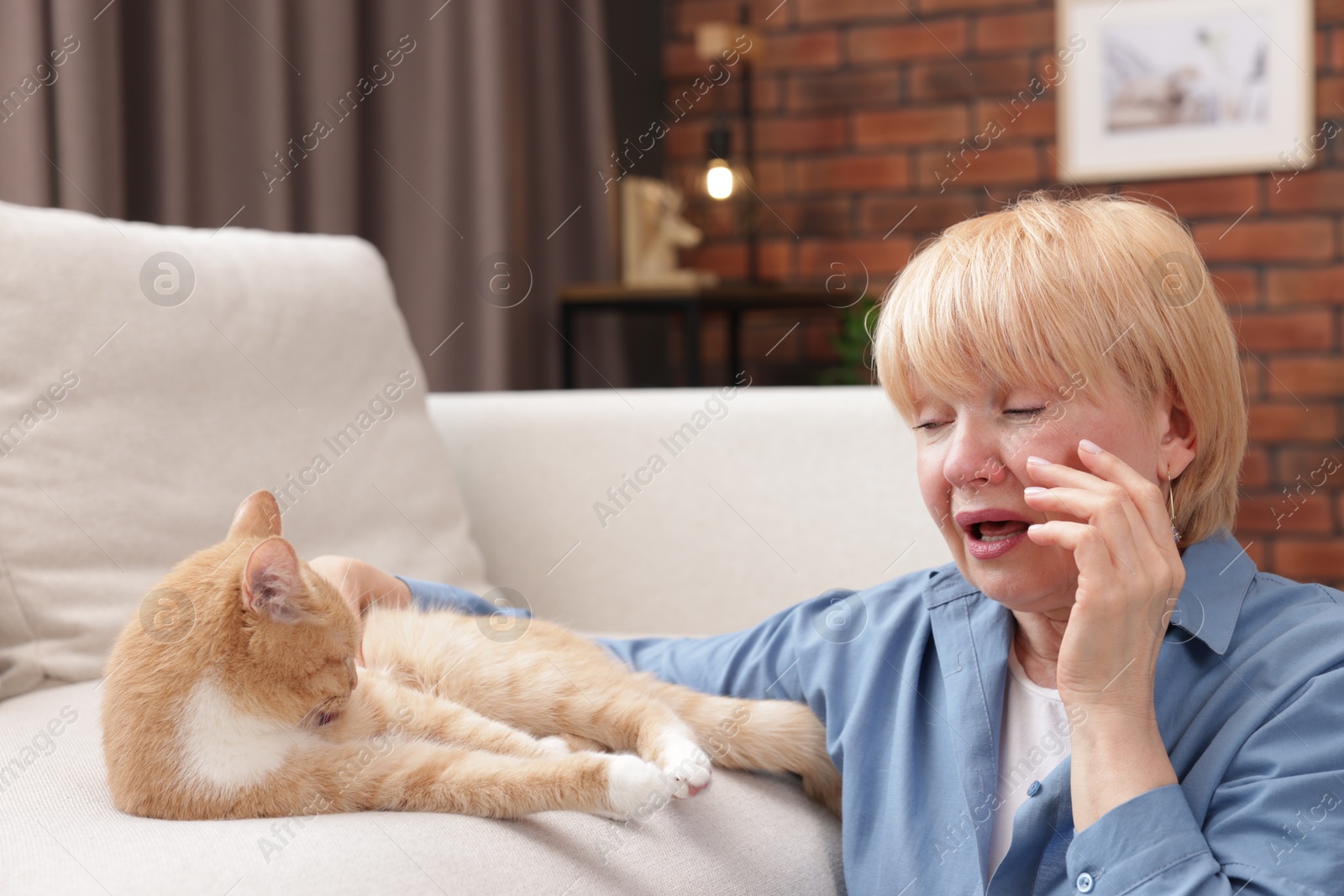 Senior woman suffering from allergy with her cat at home Photo of Senior woman suffering from allergy with her cat at home