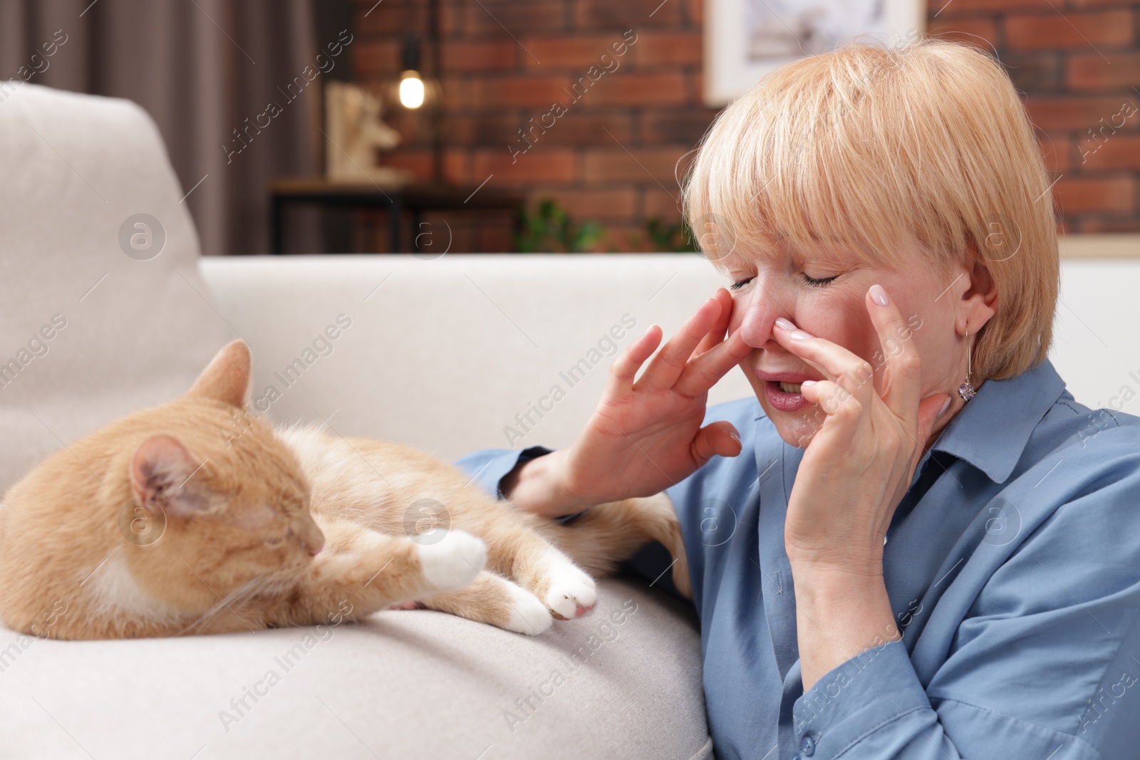 Senior woman suffering from allergy with her cat at home Photo of Senior woman suffering from allergy with her cat at home