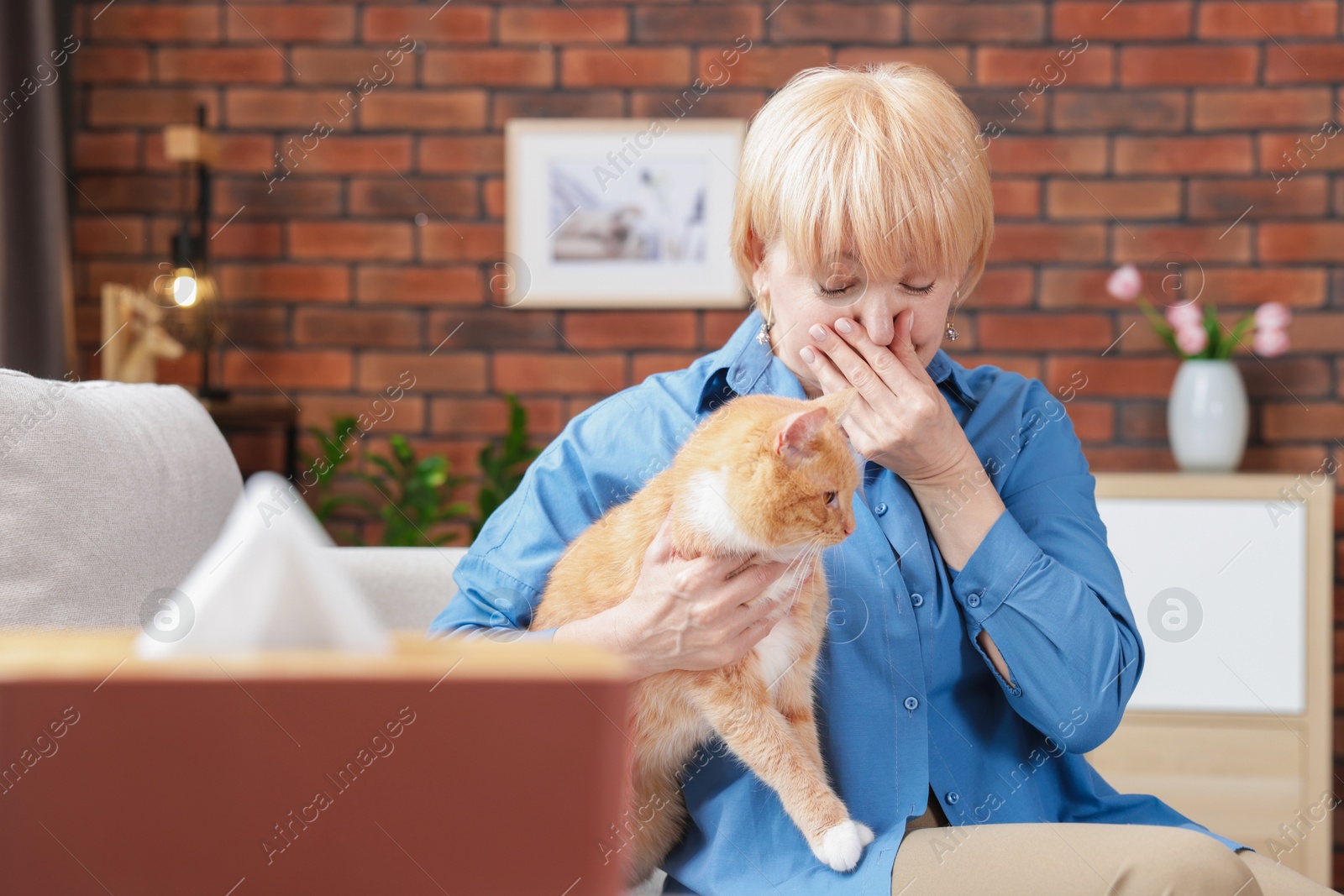 Senior woman suffering from allergy with her cat on sofa at home Photo of Senior woman suffering from allergy with her cat on sofa at home