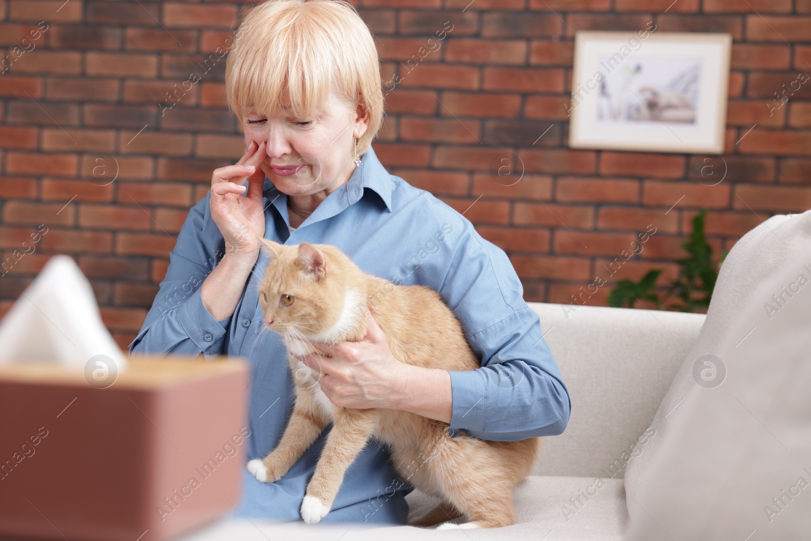 Senior woman suffering from allergy with her cat on sofa at home Photo of Senior woman suffering from allergy with her cat on sofa at home