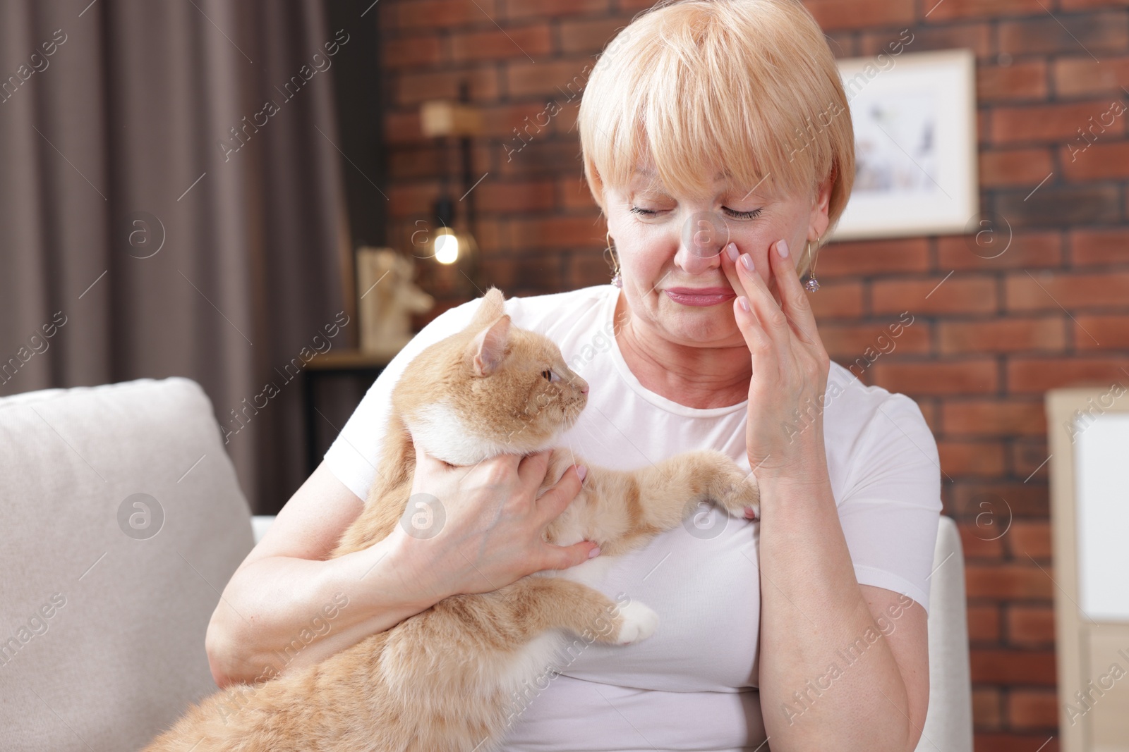 Senior woman suffering from allergy with her cat on sofa at home Photo of Senior woman suffering from allergy with her cat on sofa at home