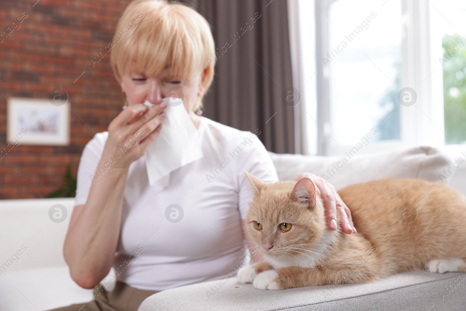 Senior woman suffering from allergy with her cat on sofa at home, selective focus Photo of Senior woman suffering from allergy with her cat on sofa at home, selective focus