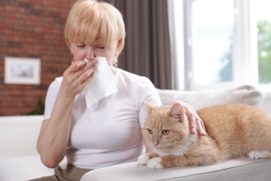Photo of Senior woman suffering from allergy with her cat on sofa at home, selective focus