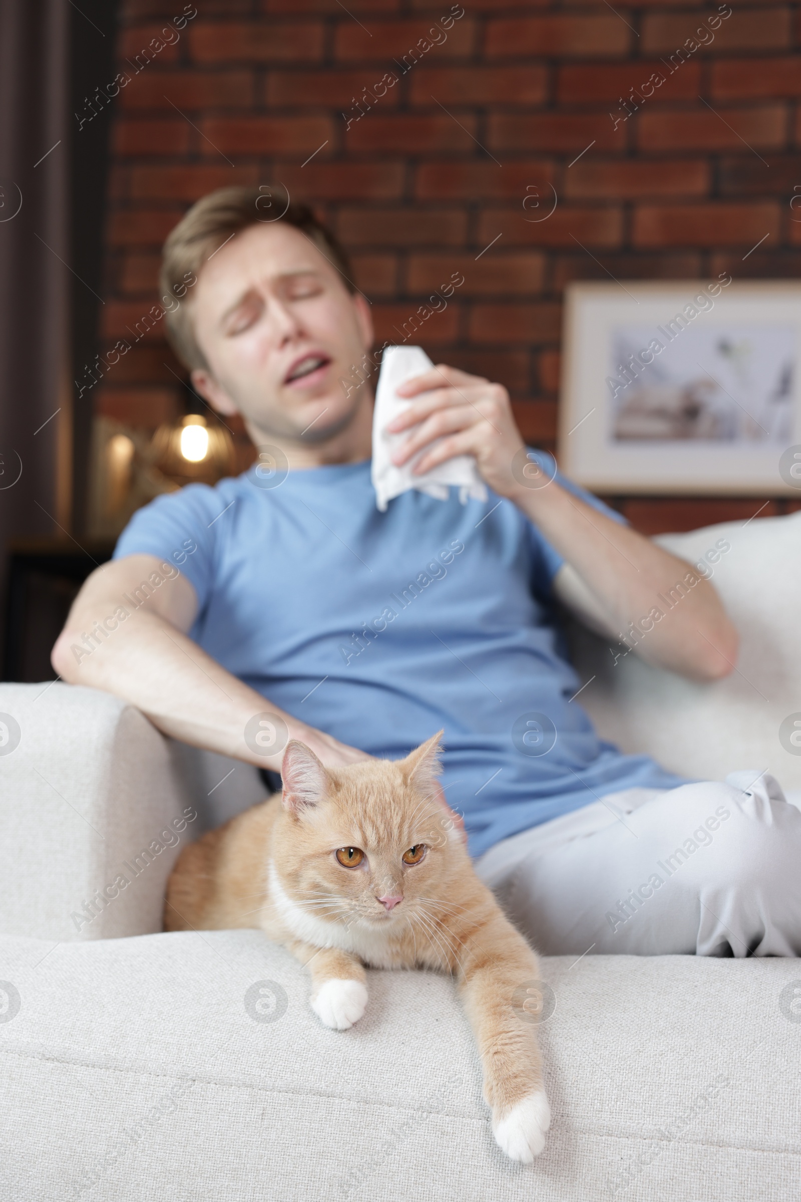Photo of Man suffering from allergy with his cat on sofa at home, selective focus