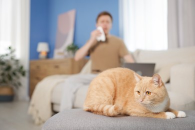 Photo of Man suffering from allergy with his cat at home, selective focus