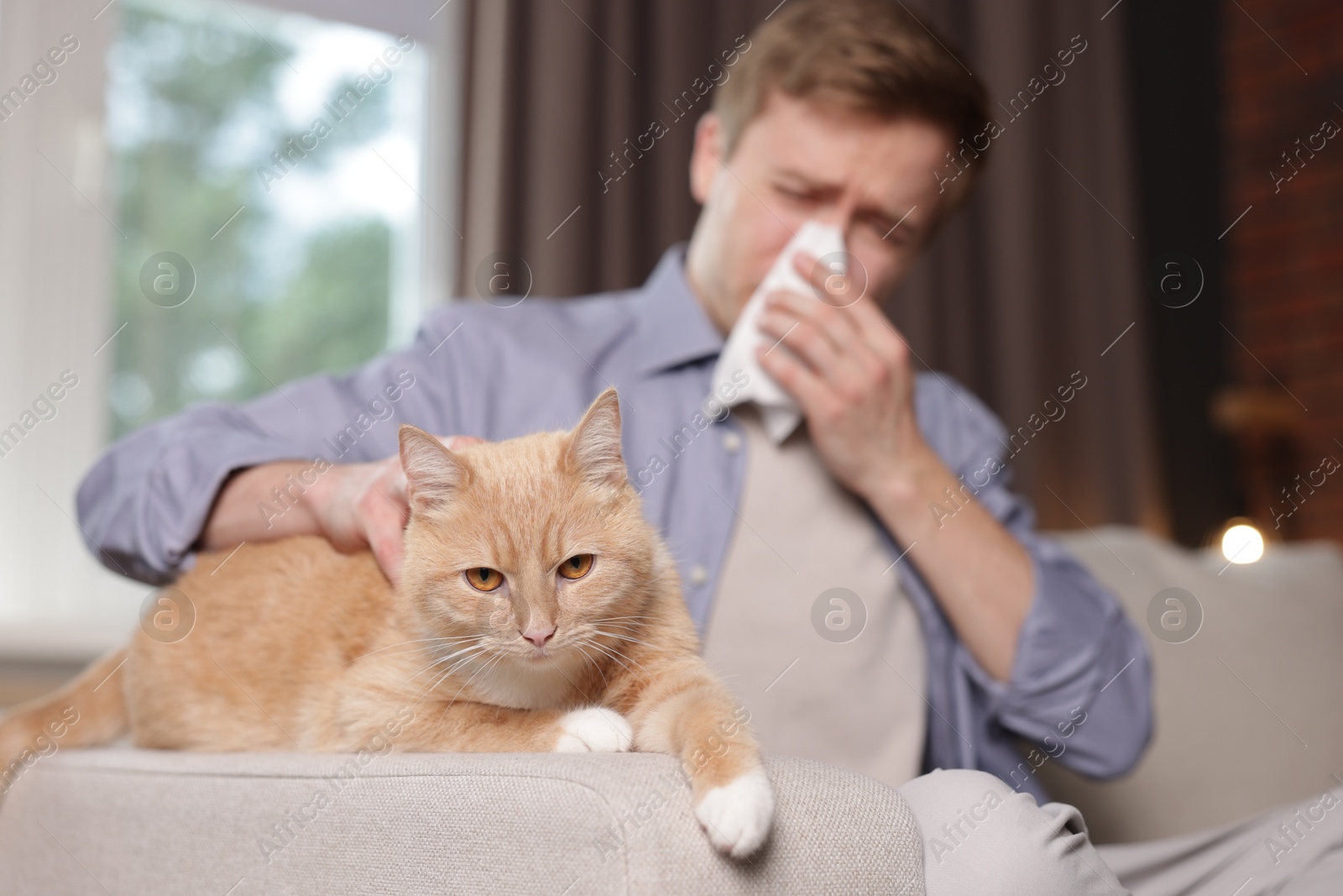 Photo of Man suffering from allergy with his cat on sofa at home, selective focus