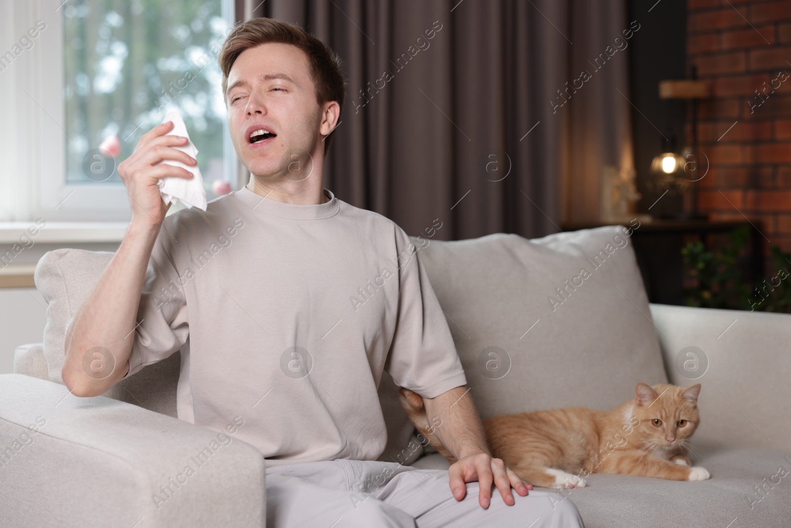 Man suffering from allergy with his cat on sofa at home Photo of Man suffering from allergy with his cat on sofa at home