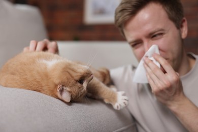 Photo of Man suffering from allergy with his cat at home, selective focus