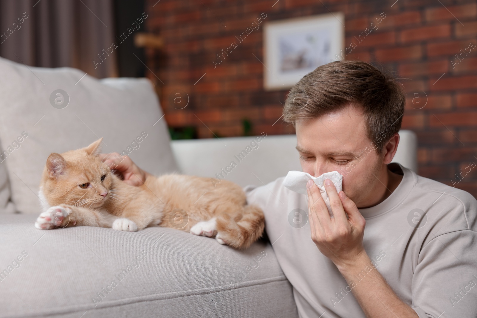 Man suffering from allergy with his cat at home Photo of Man suffering from allergy with his cat at home