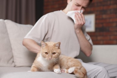 Photo of Man suffering from allergy with his cat on sofa at home, selective focus