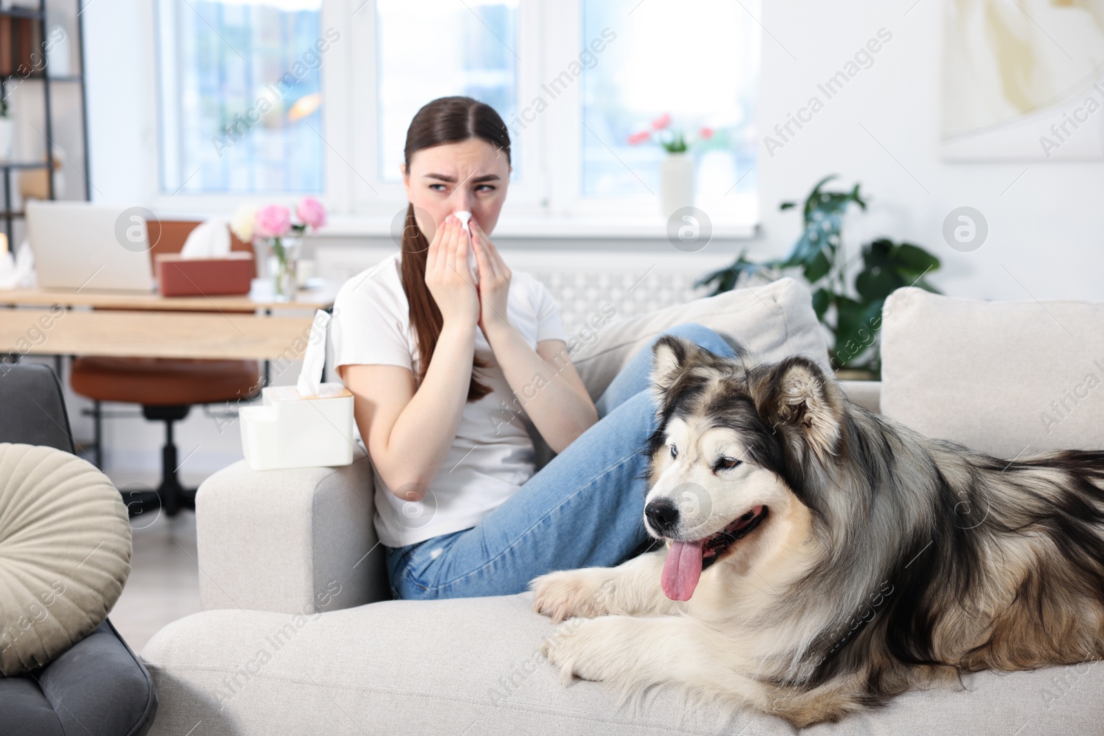 Woman suffering from allergy with her dog at home Photo of Woman suffering from allergy with her dog at home