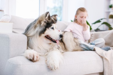 Photo of Girl suffering from allergy with her dog at home, selective focus