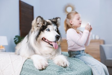Photo of Girl suffering from allergy with her dog on bed at home, selective focus