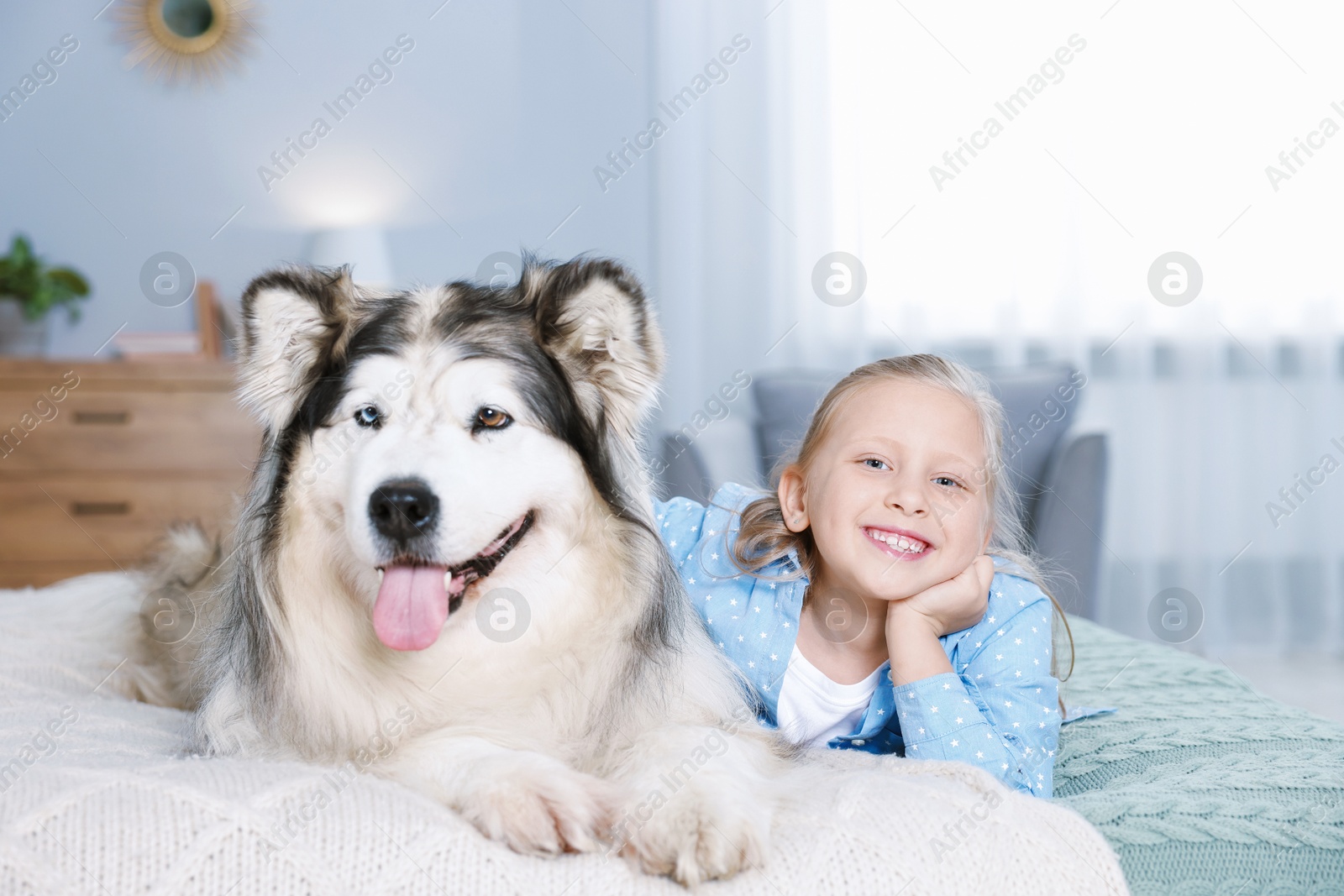 Little girl and cute dog on bed at home Photo of Little girl and cute dog on bed at home