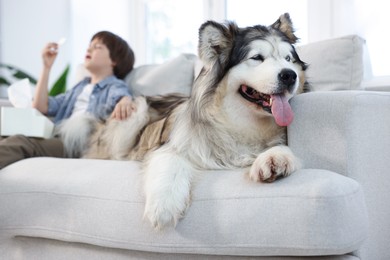 Photo of Boy suffering from allergy with her dog on sofa at home, selective focus