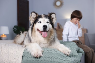 Photo of Boy suffering from allergy with her dog on bed at home, selective focus