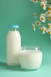 Photo of Fresh milk in glass, bottle and chamomile flowers on turquoise background. Dairy product