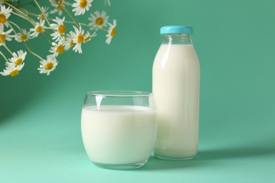 Photo of Fresh milk in glass, bottle and chamomile flowers on turquoise background. Dairy product