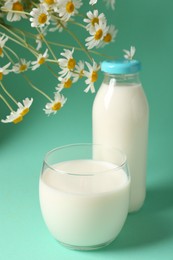 Photo of Fresh milk in glass, bottle and chamomile flowers on turquoise background, closeup. Dairy product