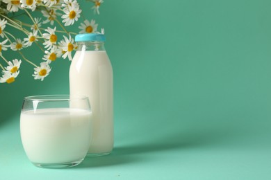 Photo of Fresh milk in glass, bottle and chamomile flowers on turquoise background, space for text. Dairy product