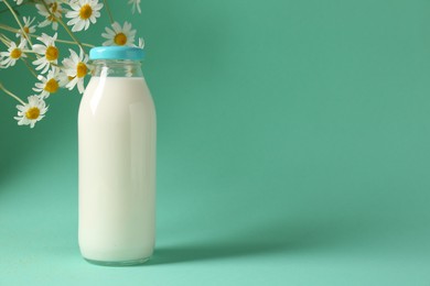 Photo of Fresh milk in glass bottle and chamomile flowers on turquoise background, space for text. Dairy product