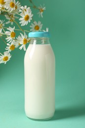 Photo of Fresh milk in glass bottle and chamomile flowers on turquoise background. Dairy product