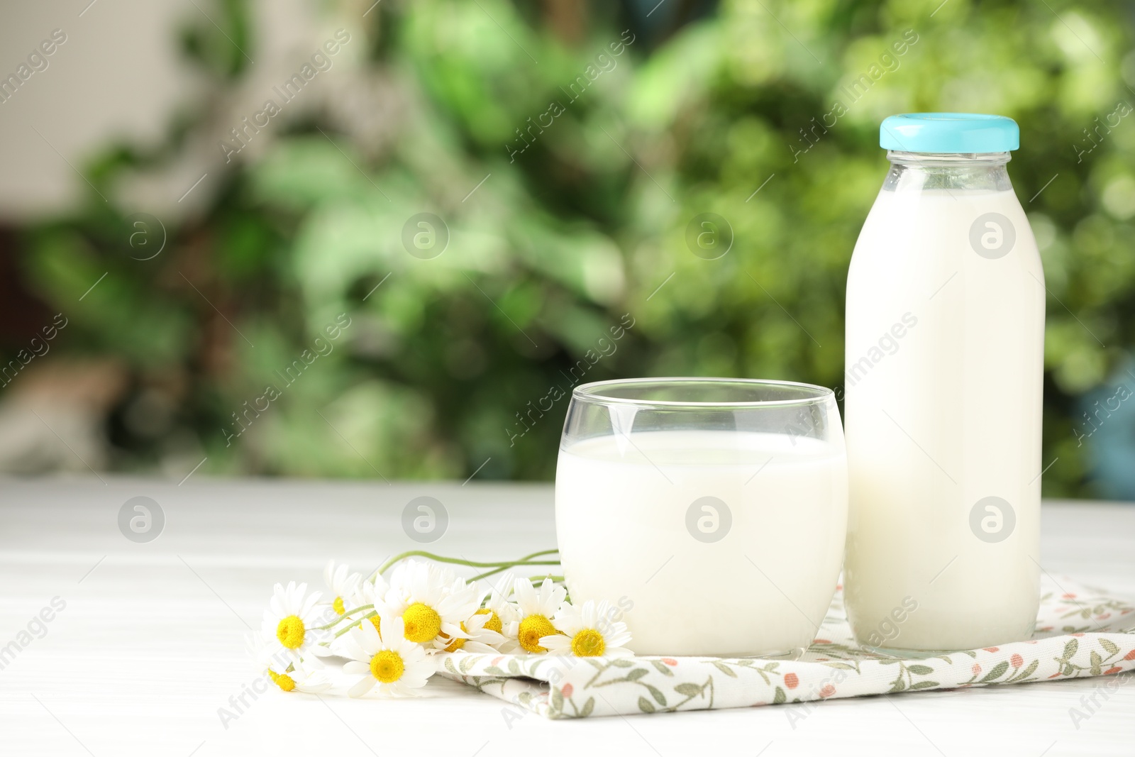 Fresh milk in glass, bottle and chamomile flowers on white wooden table outdoors, space for text. Dairy product Photo of Fresh milk in glass, bottle and chamomile flowers on white wooden table outdoors, space for text. Dairy product