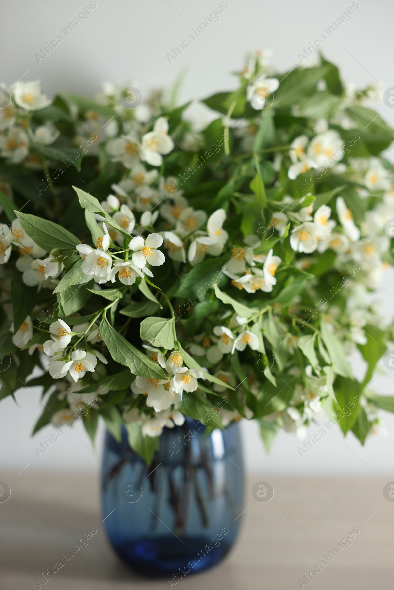 Beautiful jasmine flowers in vase on table indoors, closeup Photo of Beautiful jasmine flowers in vase on table indoors, closeup