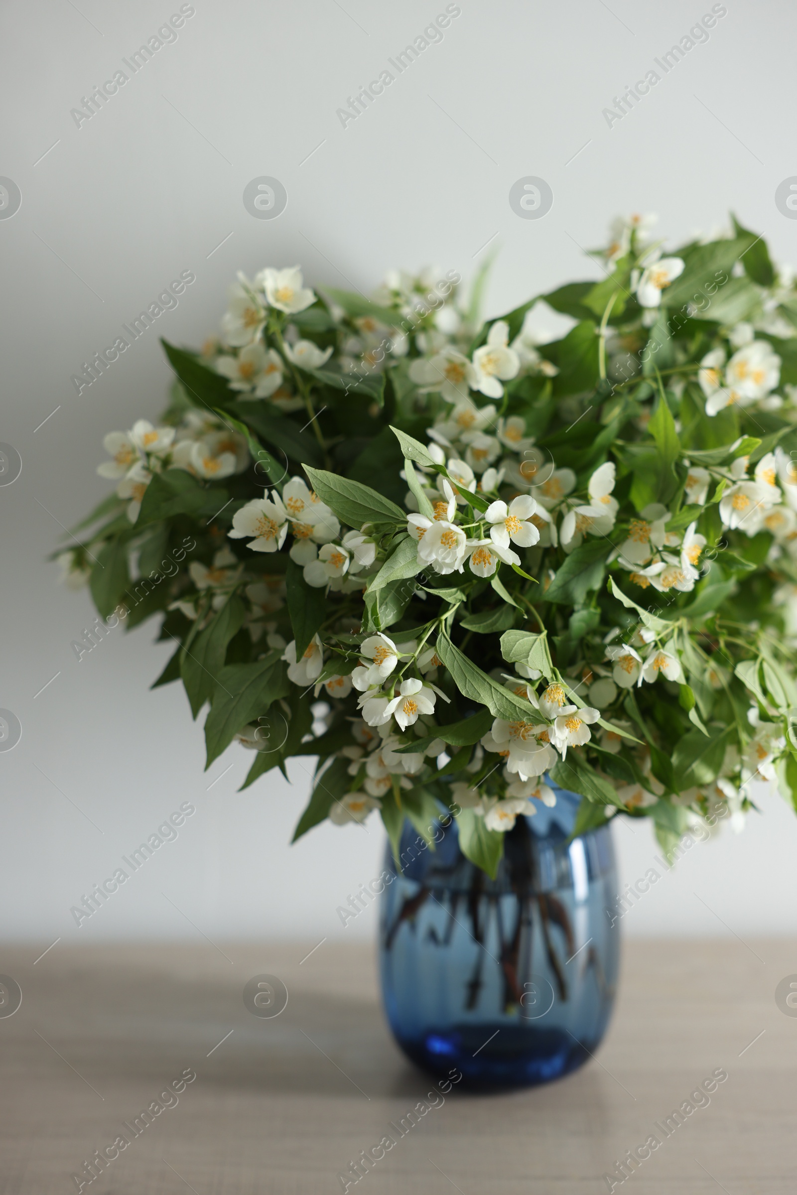 Beautiful jasmine flowers in vase on table indoors, closeup Photo of Beautiful jasmine flowers in vase on table indoors, closeup