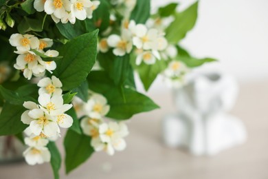 Photo of Beautiful jasmine flowers on table, closeup. Space for text