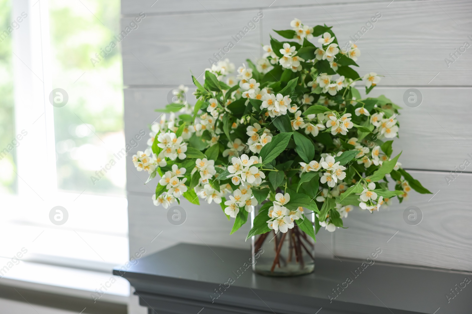 Beautiful jasmine flowers in vase fireplace indoors, space for text Photo of Beautiful jasmine flowers in vase fireplace indoors, space for text