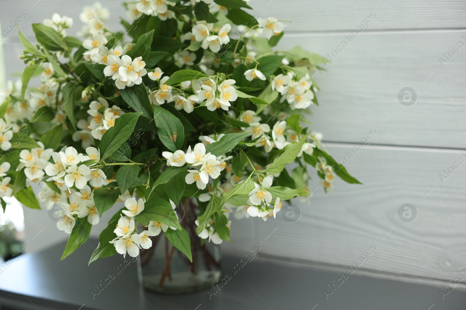 Photo of Beautiful jasmine flowers in vase fireplace indoors, closeup. Space for text