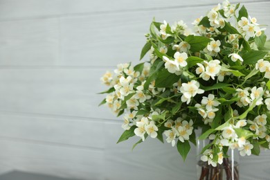 Photo of Beautiful jasmine flowers in vase near white wooden wall indoors, closeup. Space for text