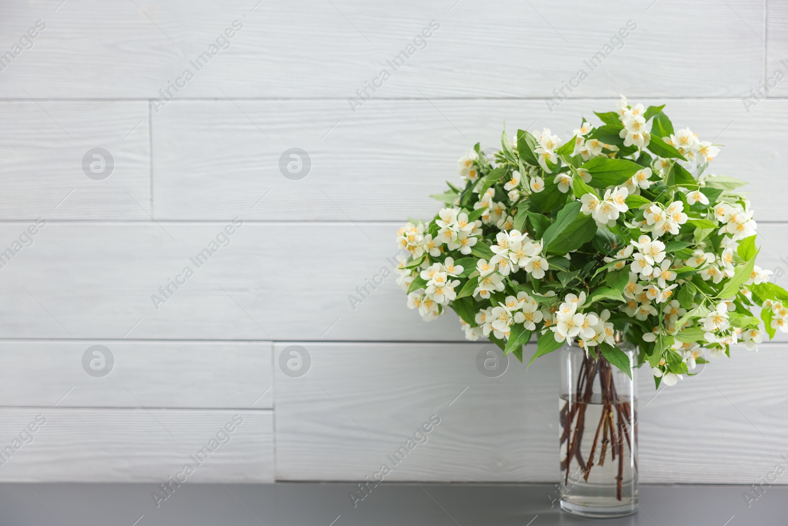 Beautiful jasmine flowers in vase on grey table near white wooden wall indoors, space for text Photo of Beautiful jasmine flowers in vase on grey table near white wooden wall indoors, space for text