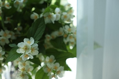 Photo of Beautiful bouquet of jasmine flowers indoors, closeup