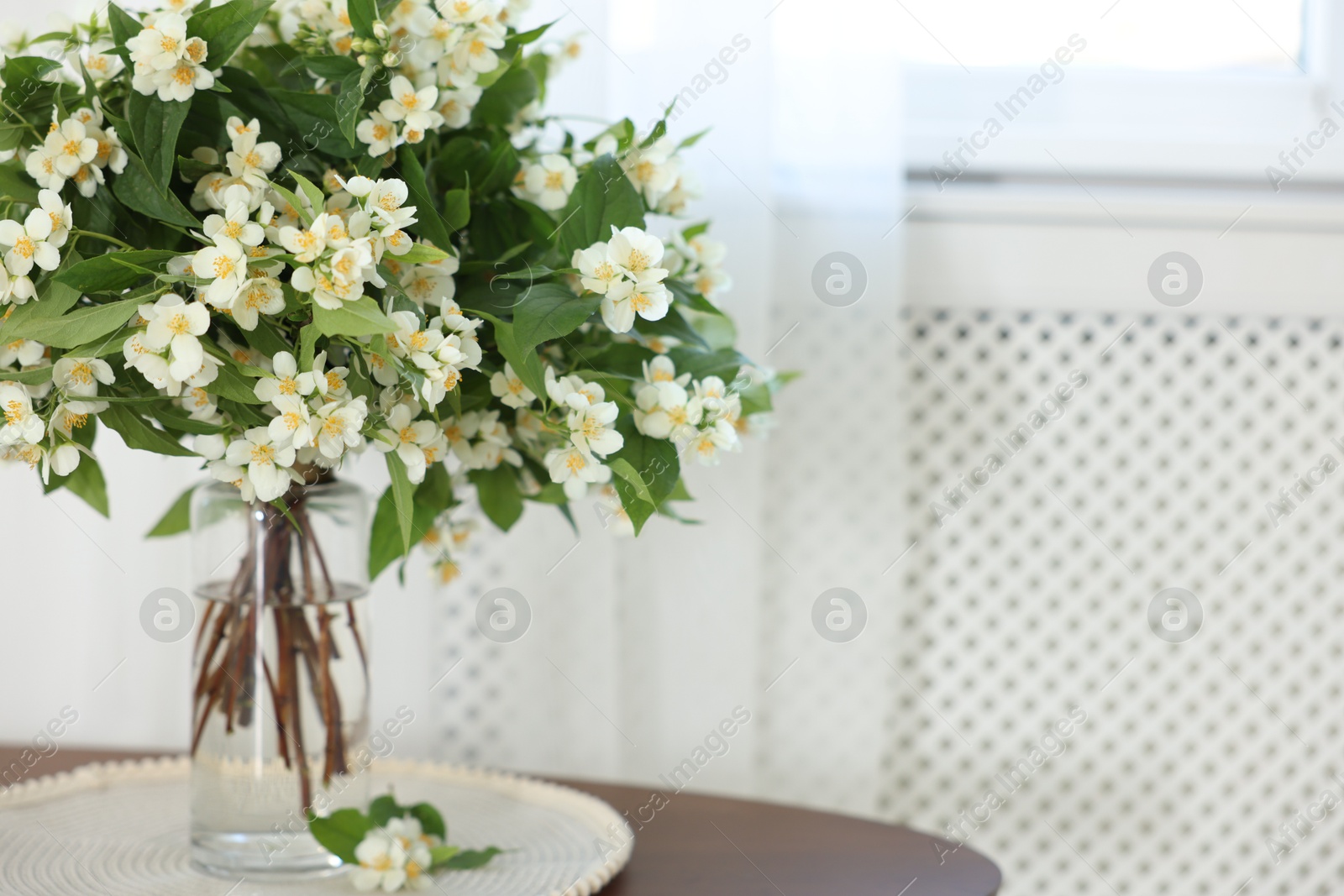 Beautiful jasmine flowers in vase on table indoors, space for text Photo of Beautiful jasmine flowers in vase on table indoors, space for text