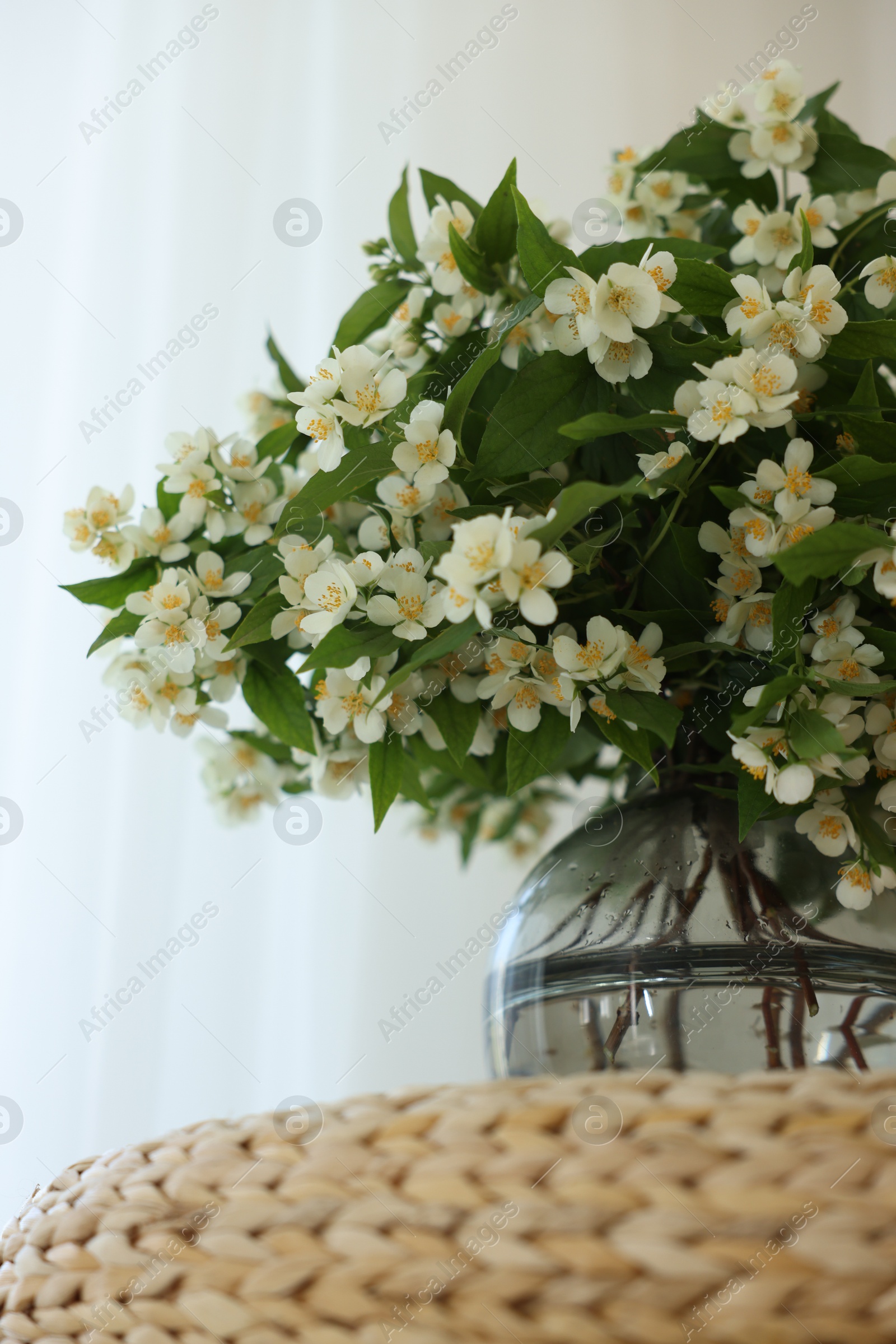 Beautiful jasmine flowers in vase on wicker table indoors, low angle view Photo of Beautiful jasmine flowers in vase on wicker table indoors, low angle view